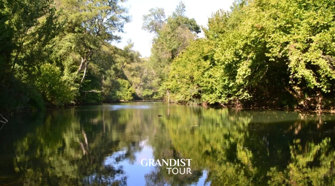 İğneada Floodplain Forests